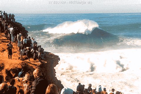 Bild der Surfnomaden